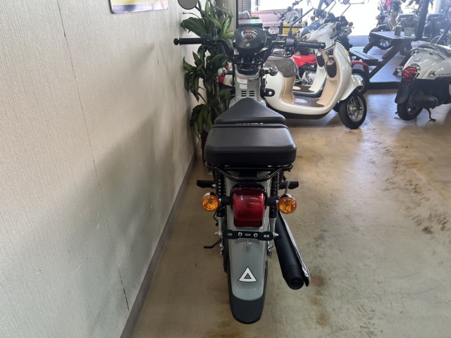 �z���_�N���X�J�u110�i���m�����m�s�j�摜3