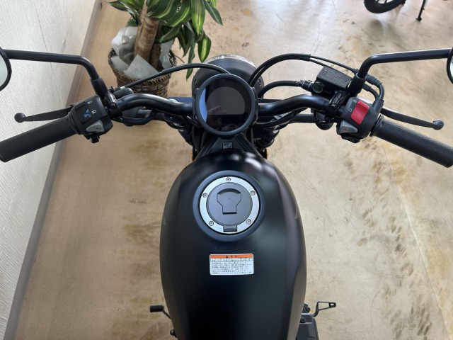 �z���_���u��250�i���m�����m�s�j�摜2