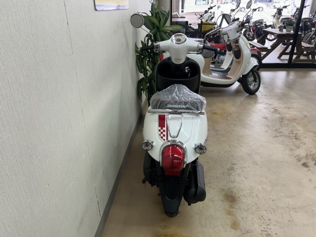 �z���_�W�����m�i���m�����m�s�j�摜4