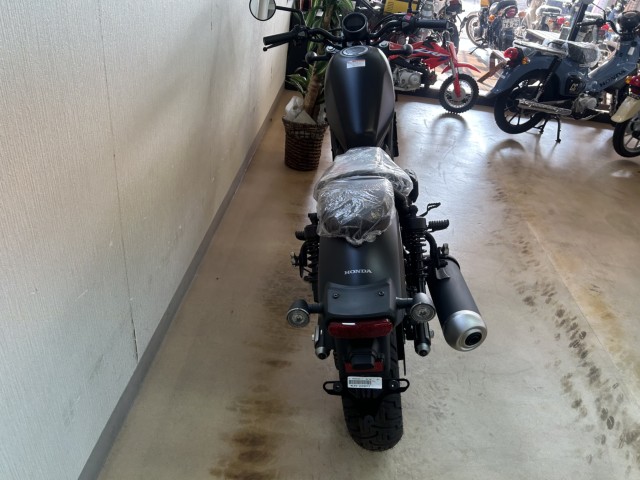�z���_���u��250�i���m�����m�s�j�摜4
