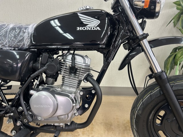 �z���_�G�C�v50�i���m�����m�s�j�摜6
