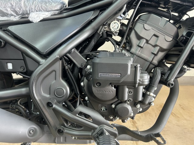 �z���_���u��250�i���m�����m�s�j�摜6