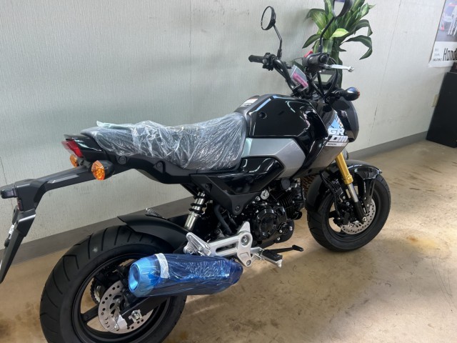 �z���_�O�����i���m�����m�s�j�摜6