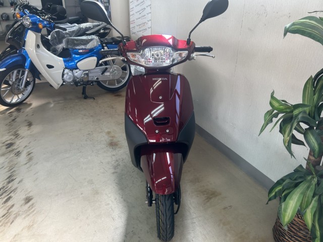 �z���_�^�N�g�i���m�����m�s�j�摜8