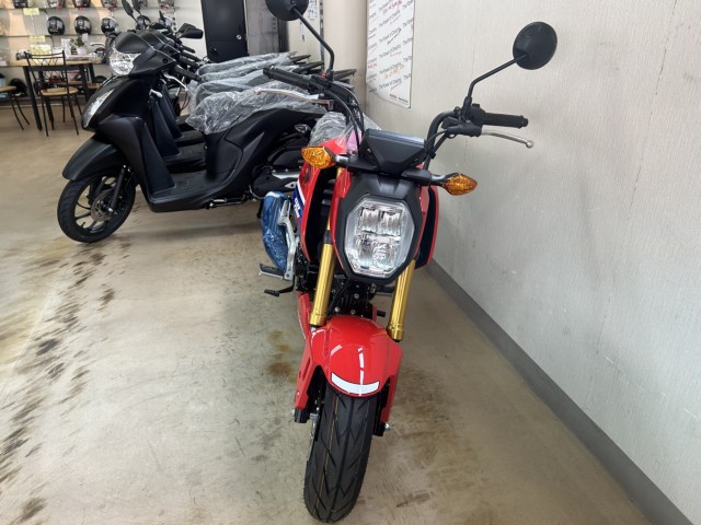 �z���_�O�����i���m�����m�s�j�摜8
