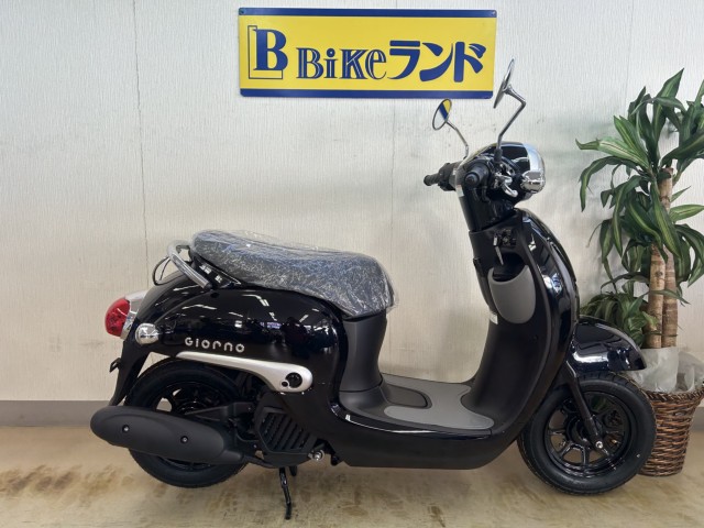 �z���_�W�����m�i���m�����m�s�j�摜1