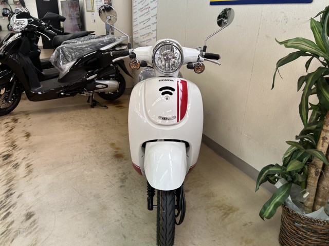 �z���_�W�����m�i���m�����m�s�j�摜9