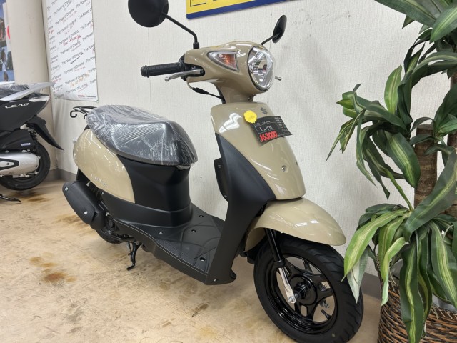 �X�Y�L���b�c�i���m�����m�s�j�摜2