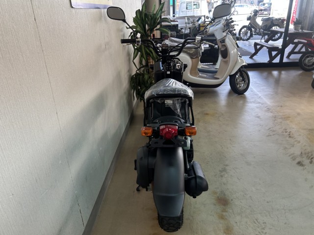 �z���_�Y�[�}�[�i���m�����m�s�j�摜4