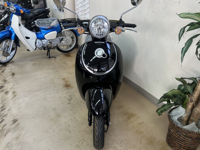 �z���_�W�����m�i���m�����m�s�j�摜10