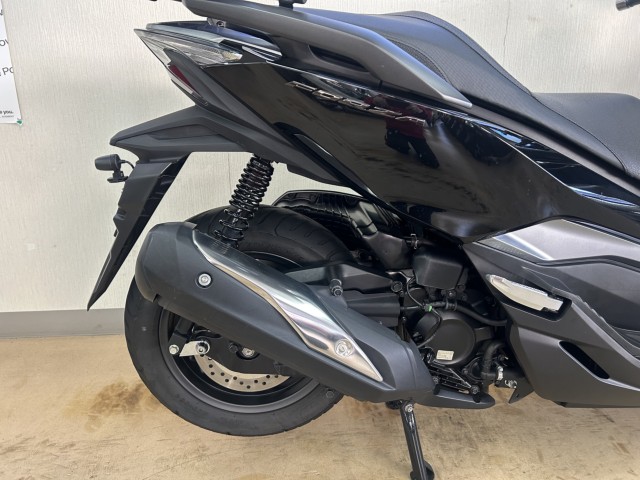 �z���_�t�H���c�@�i���m�����m�s�j�摜5