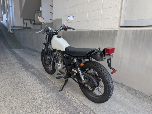 �X�Y�L�O���X�g���b�J�[�i���Q�����R�s�j�摜4