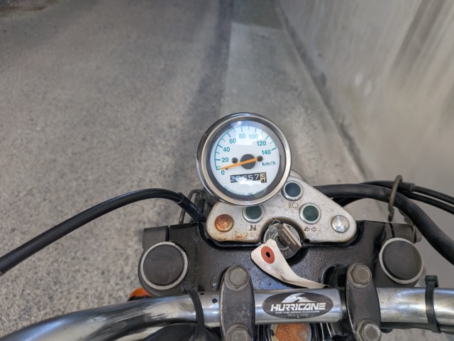 �X�Y�L�O���X�g���b�J�[�i���Q�����R�s�j�摜8