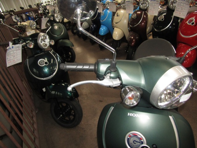 �z���_�W�����m�i���Q�����R�s�j�摜13