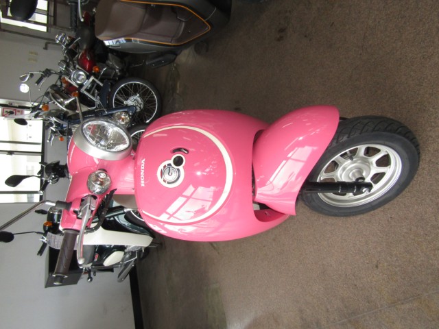 �z���_�W�����m�i���Q�����R�s�j�摜3