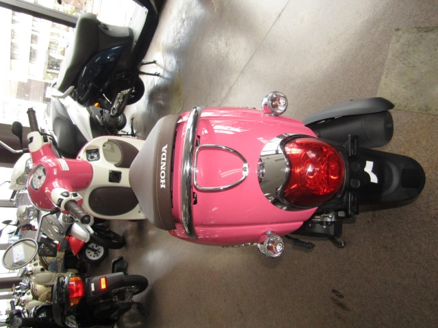 �z���_�W�����m�i���Q�����R�s�j�摜4