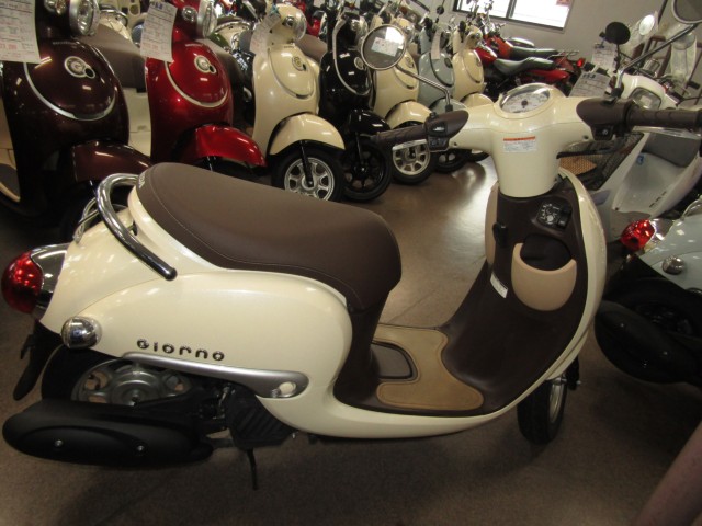 �z���_�W�����m�i���Q�����R�s�j�摜1