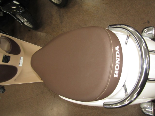 �z���_�W�����m�i���Q�����R�s�j�摜11