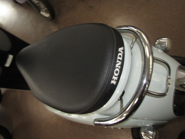 �z���_�W�����m�i���Q�����R�s�j�摜11