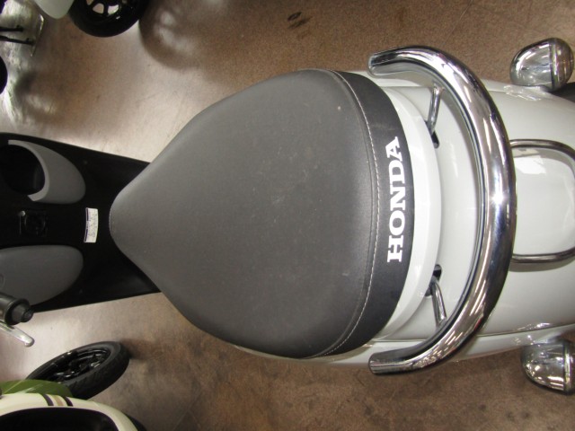 �z���_�W�����m�i���Q�����R�s�j�摜11