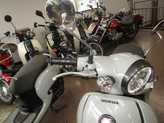 �z���_�W�����m�i���Q�����R�s�j�摜13