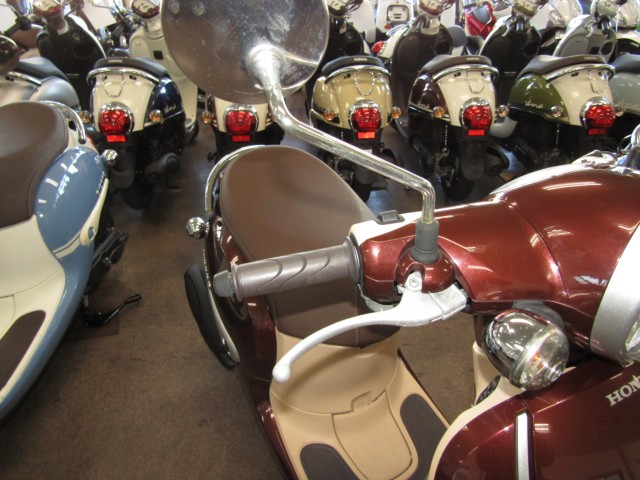 �z���_�W�����m�i���Q�����R�s�j�摜13