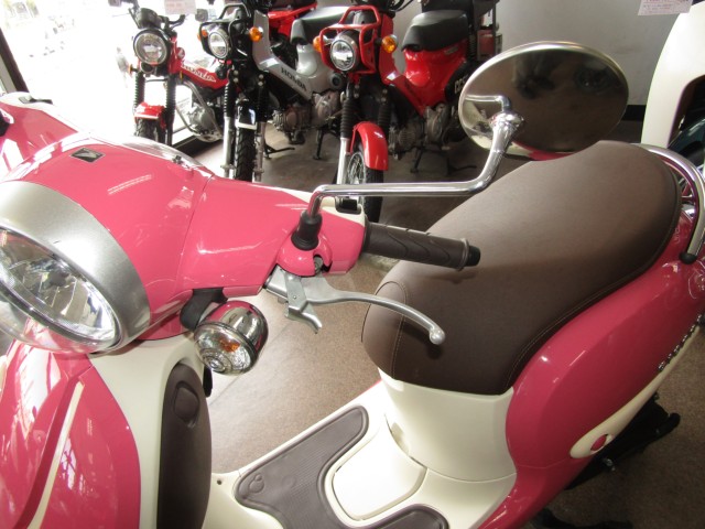 �z���_�W�����m�i���Q�����R�s�j�摜14