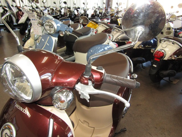 �z���_�W�����m�i���Q�����R�s�j�摜14