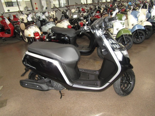 �z���_Dunk�i���Q�����R�s�j�摜1