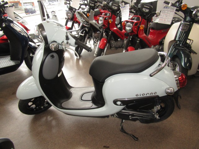 �z���_�W�����m�i���Q�����R�s�j�摜2