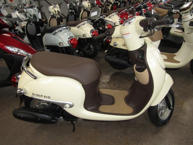 �z���_�W�����m�i���Q�����R�s�j�摜1