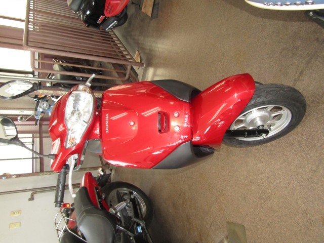 �z���_�^�N�g�E�x�[�V�b�N�i���Q�����R�s�j�摜3