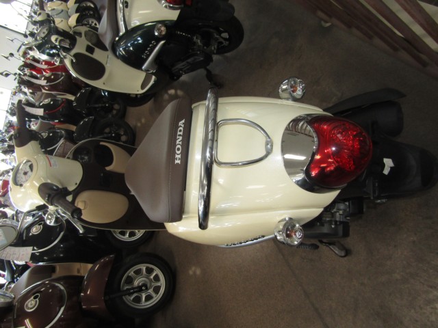 �z���_�W�����m�i���Q�����R�s�j�摜4