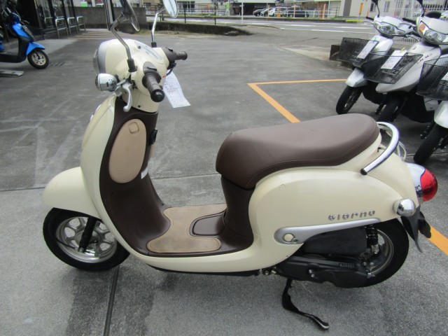 �z���_�W�����m�i���Q�����R�s�j�摜2