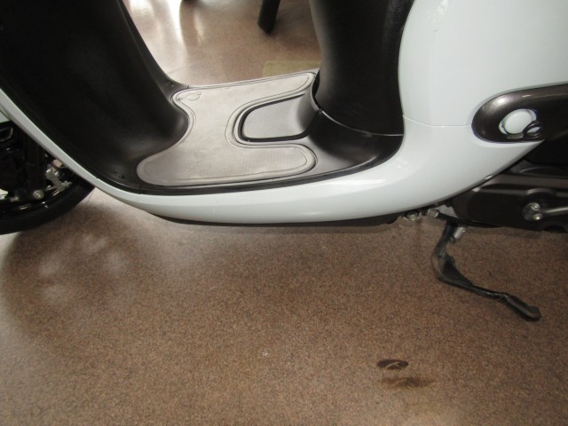 �z���_�W�����m�i���Q�����R�s�j�摜9