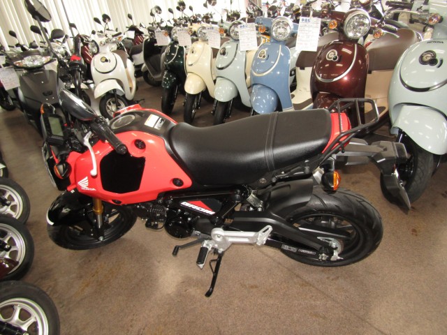 �z���_�O�����i���Q�����R�s�j�摜2