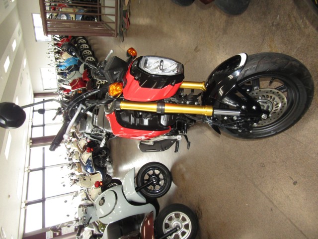 �z���_�O�����i���Q�����R�s�j�摜3