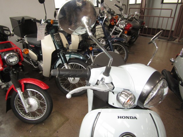 �z���_�W�����m�i���Q�����R�s�j�摜13