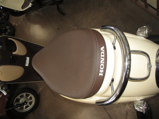 �z���_�W�����m�i���Q�����R�s�j�摜11