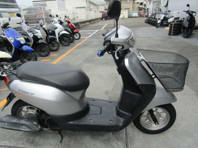 �z���_�^�N�g�E�x�[�V�b�N�i���Q�����R�s�j�摜1