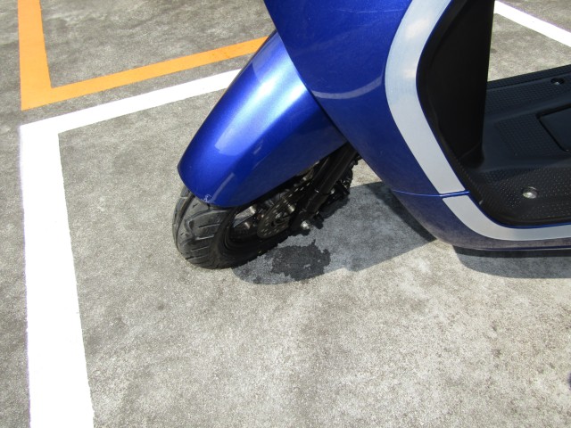 �z���_Dunk�i���Q�����R�s�j�摜10