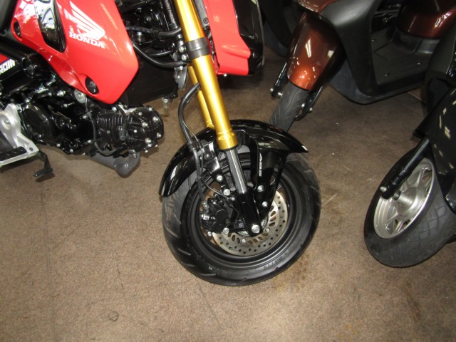 �z���_�O�����i���Q�����R�s�j�摜5