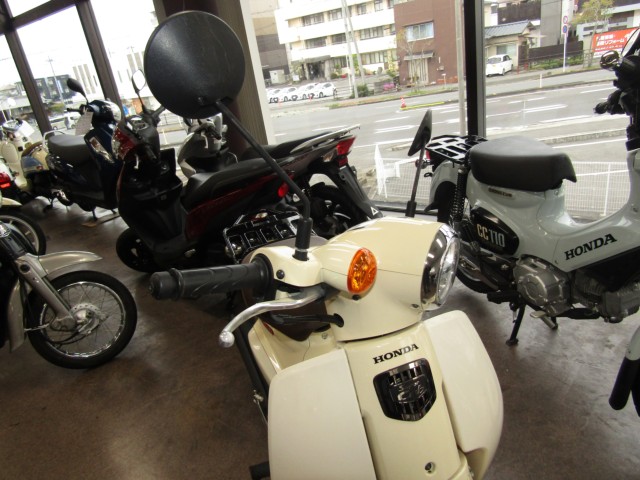 �z���_�X�[�p�[�J�u50�i���Q�����R�s�j�摜13