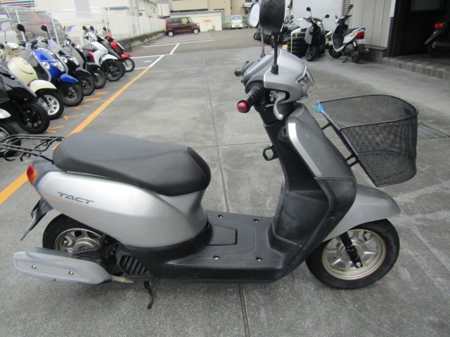 �z���_�^�N�g�E�x�[�V�b�N�i���Q�����R�s�j�摜1