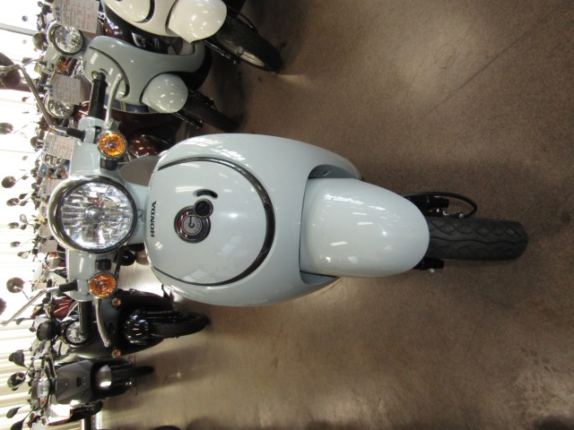 �z���_�W�����m�i���Q�����R�s�j�摜3