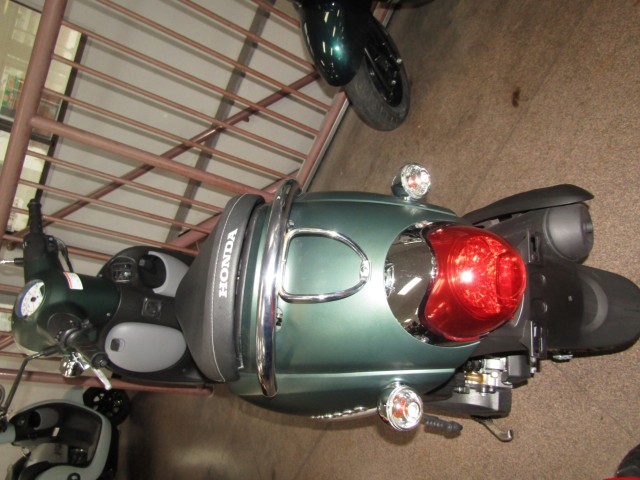 �z���_�W�����m�i���Q�����R�s�j�摜4