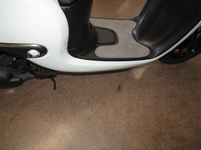 �z���_�W�����m�i���Q�����R�s�j�摜6