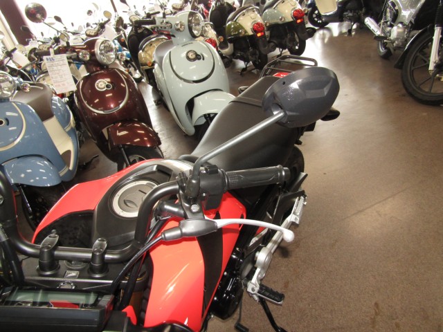 �z���_�O�����i���Q�����R�s�j�摜14