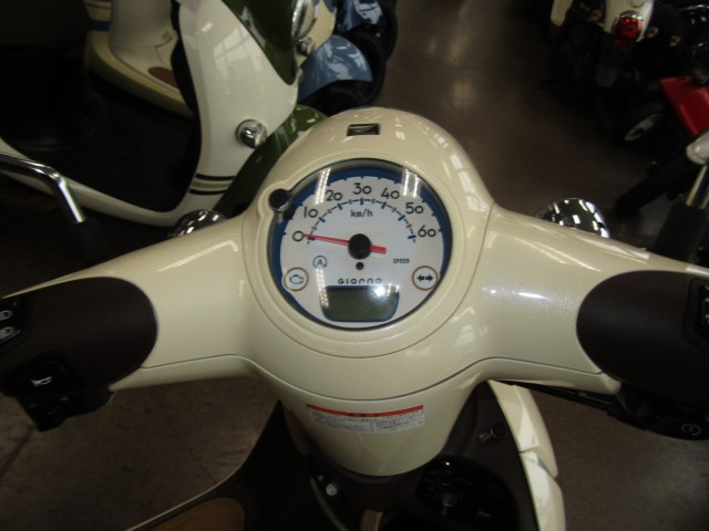 �z���_�W�����m�i���Q�����R�s�j�摜10