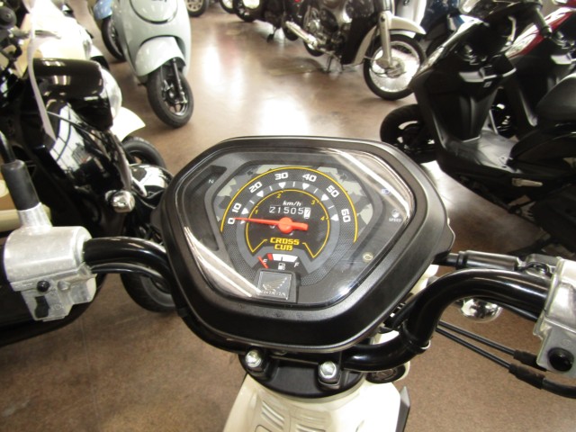 �z���_�N���X�J�u50�i���Q�����R�s�j�摜12